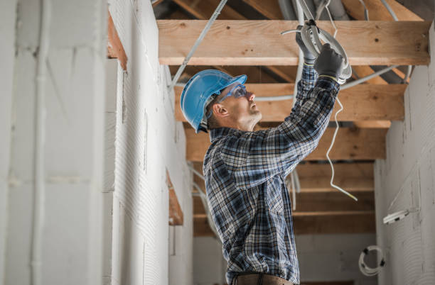 Best Ceiling Fan Installation Electrician  in West Branch, MI